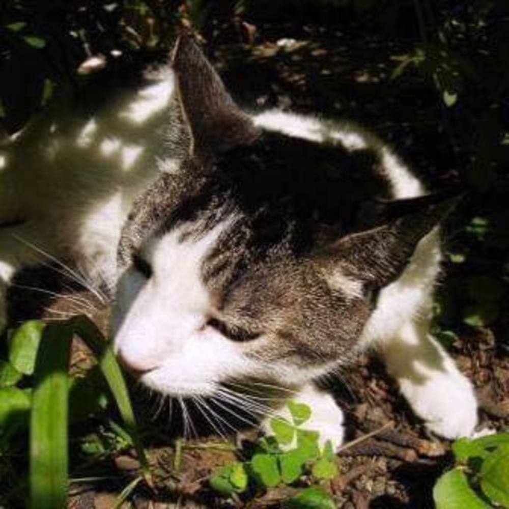 Meet your Posher, Eriko